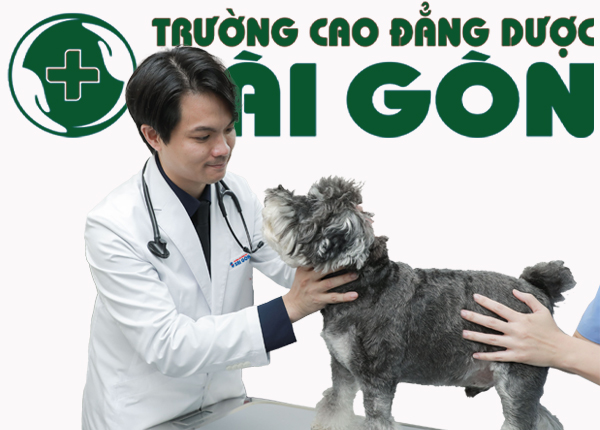 Những Kỹ Năng Quan Trọng Của Cử Nhân Cao Đẳng Ngành Học Thú Y