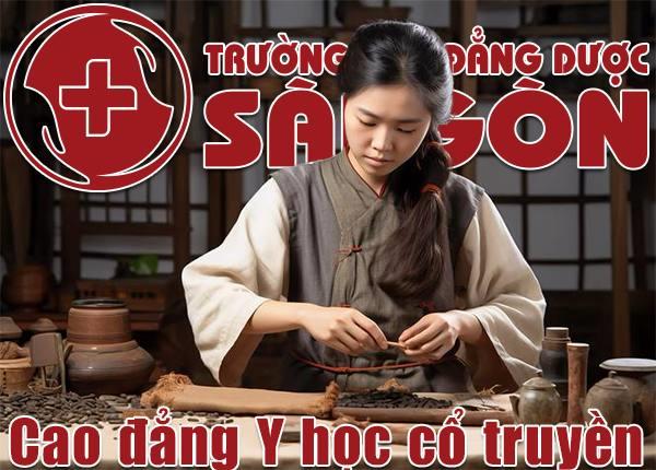 Học Liên thông Cao đẳng Y học cổ truyền thành phố Hồ Chí Minh