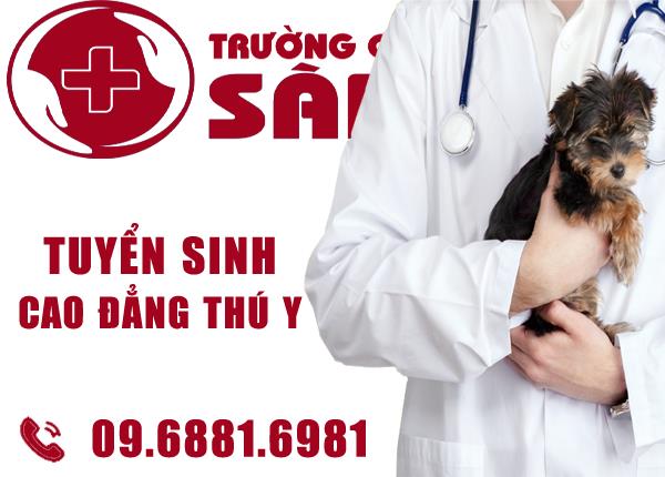 Những Kỹ Năng Quan Trọng Của Cử Nhân Cao Đẳng Ngành Học Thú Y